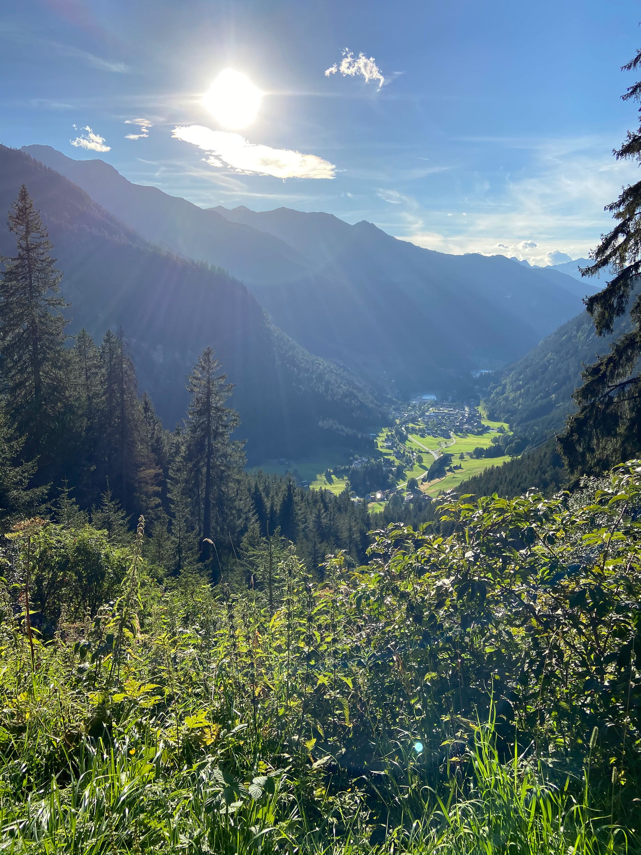 Aussicht Partenen